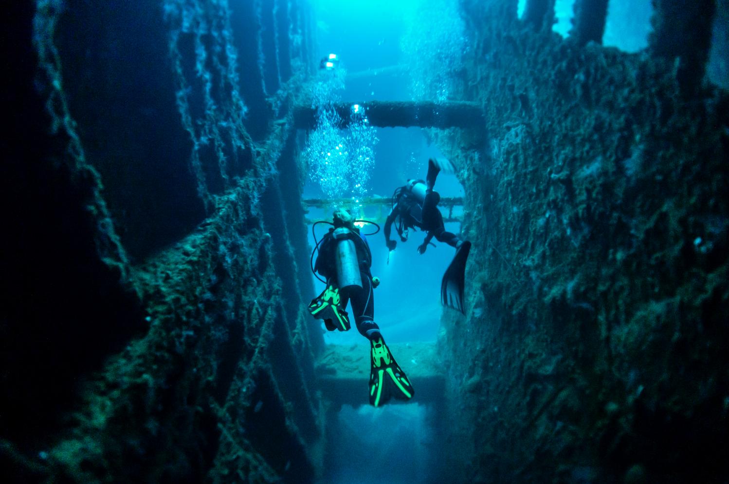 1769698720419625.png Santo - Wreck Diving.png