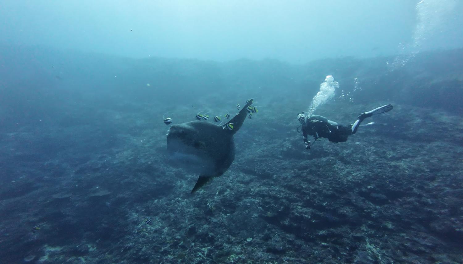 1773159131697502.png IMG_9299.PNG